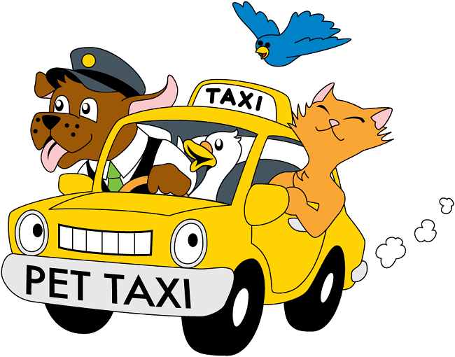 Du lịch Anh và những điều cần biết: taxi
