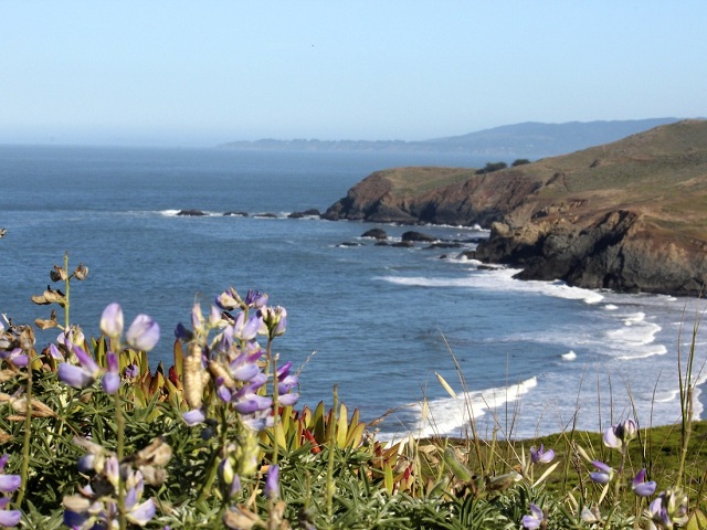 Golden Gate National Recreation Area điểm đến tuyệt vời ở San Francisco