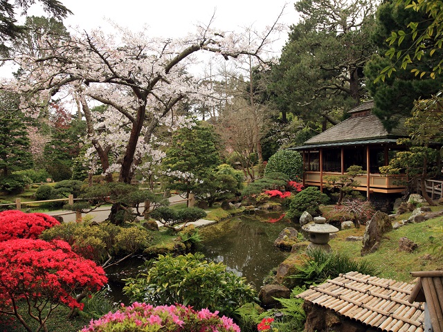 Vườn trà Nhật Bản nơi mang từng hơi thở của đất nước phù tang xinh đẹp