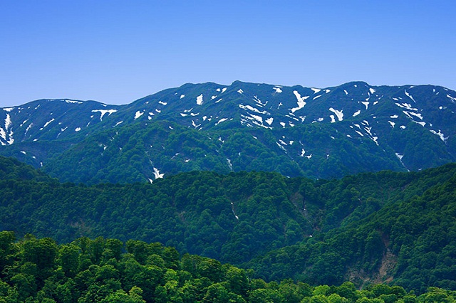 Những rừng cây xanh biếc ở vùng núi Shirakami