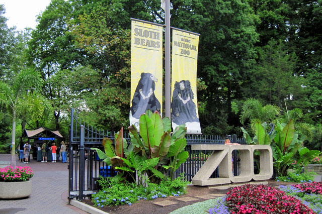 Vườn thú Quốc gia điểm đến du lịch thú vị ở Washington